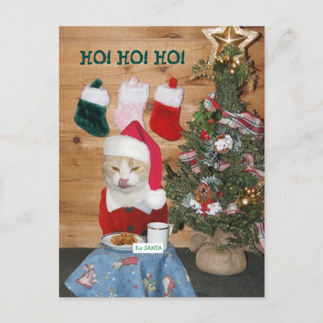 Funny Cat Eating Santa's Snack Holiday Postcard (Front)