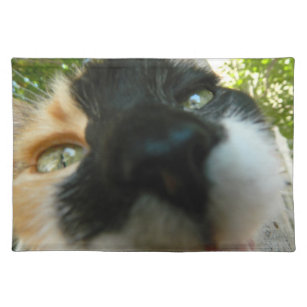 Funny cat face close up photo placemat