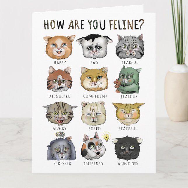 Funny Cat Feeling Chart How Are You Feline? Card (Front)
