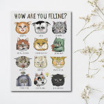 Funny Cat Feeling Chart How Are You Feline? Postcard<br><div class="desc">Cute cat themed feeling chart postcard with the funny pun "How are you feline?" Keeping track of your emotions can be a difficult task, but this cute and colourful card will remind you to look within and get in touch with whatever space your in. Remember, feelings aren't good or bad,...</div>