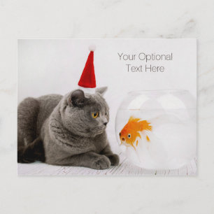 Funny Cat & Fish custom text Christmas postcard