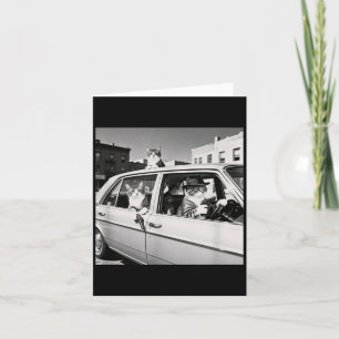 Funny Cat Gang Vintage Cool Feline Design Retro  Card