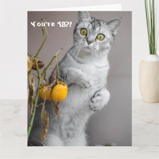 Funny Cat Happy 18th Birthday Card