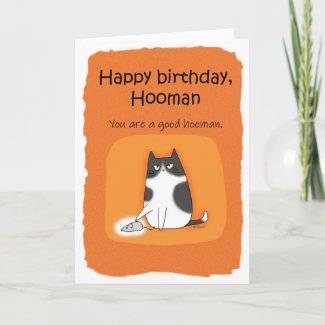 Funny Cat Happy Birthday Hooman Cat lover birthday Card