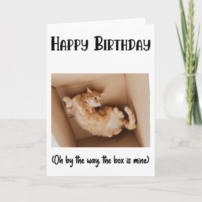Funny Cat In A Box Birthday Greeting Card  (Front)