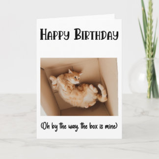 Funny Cat In A Box Birthday Greeting Card