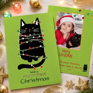 Funny Cat in Lights Purr fect Photo Chrismas Gold Foil Holiday Card