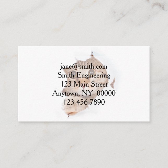 Funny cat in torn wallpaper hole business card (Front)