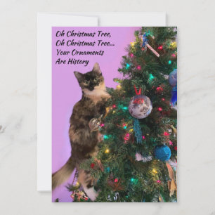 Funny Cat in Tree Eyeing Ornaments Holiday