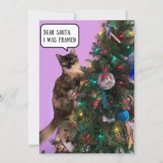 Funny Cat in Trouble with Santa Christmas Holiday Card