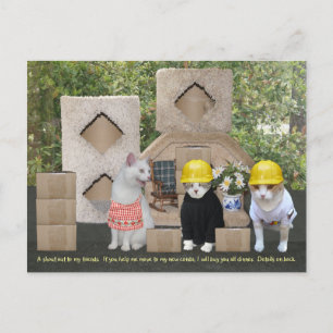 Funny Cat Invitation to Help Move Postcard