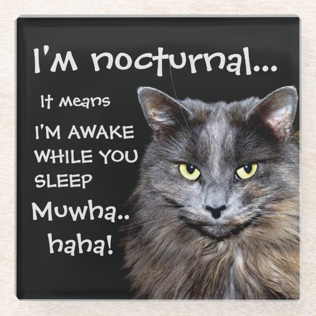 Funny Cat is Nocturnal Evil Laugh  Glass Coaster (Front)