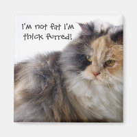 Funny Cat is Not Fat! Thick Furred
