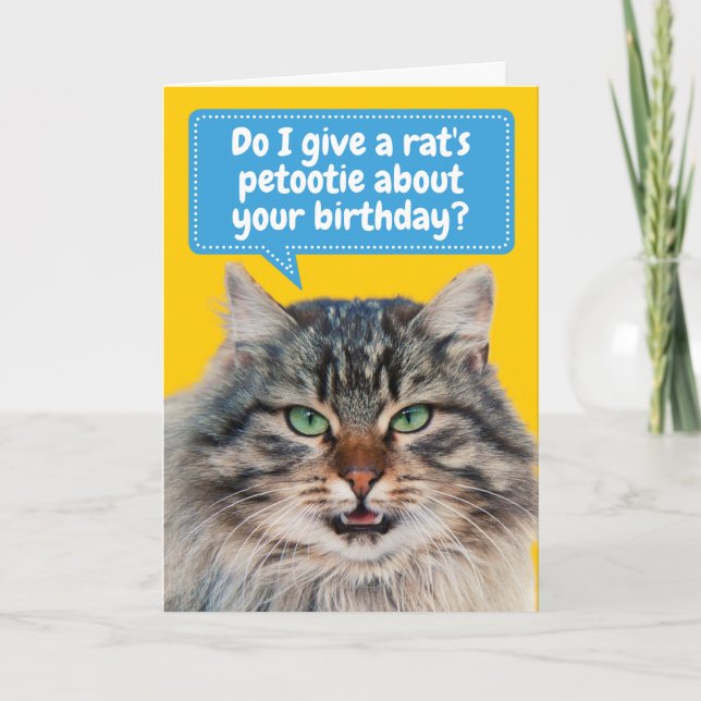 Funny Cat-itude Customizable Birthday Greeting Card (Front)