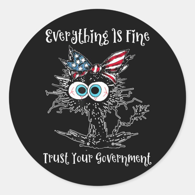 Funny Cat Kitten Everything is Fine Trust Classic Round Sticker (Front)