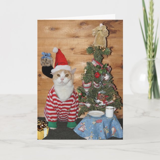 Funny Cat/Kitty Christmas Morning Holiday Card (Front)