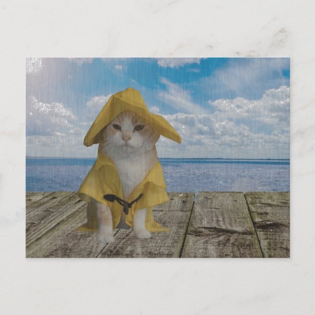 Funny Cat/Kitty in Yellow Slicker Postcard (Front)