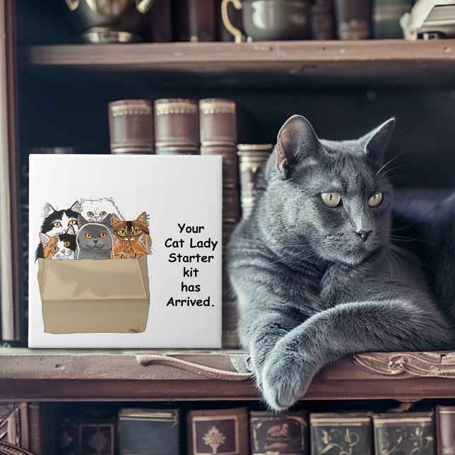 Funny Cat Lady Starter Kit Humour White Tile (Creator Uploaded)