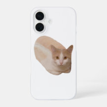 Funny Cat Loaf Meme Cat Bread Phone case