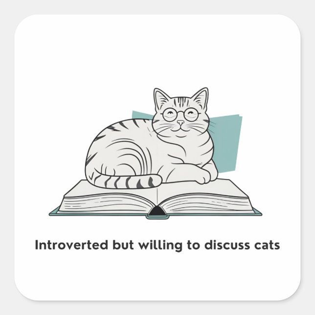 Funny Cat Lover Gift   Square Sticker (Front)