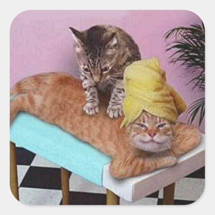 Funny Cat Massage Square Sticker | Zazzle