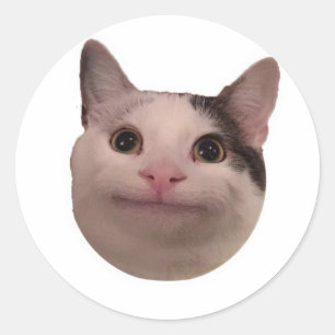 funny cat meme classic round sticker