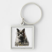 Funny cat meme for cat lovers and kitten owners