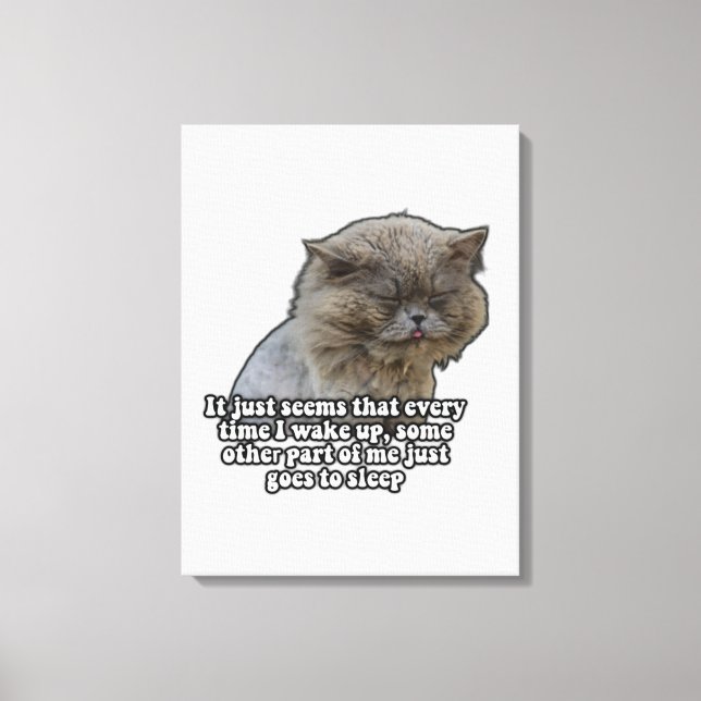 Funny cat meme for kitty lovers and cat owners canvas print (Front)
