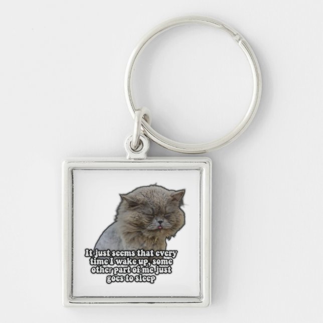 Funny cat meme for kitty lovers and cat owners keychain (Front)
