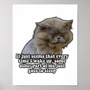 Funny Cat Meme For Kitty Lovers And Cat Owners T S Poster