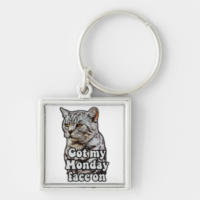 Funny cat meme for kitty owners and cat lovers keychain (Front)