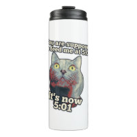 Funny cat meme for kitty persons and cat lovers