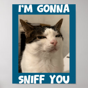 Funny Cat Meme I'm Gonna Sniff You Weird Humor  Poster
