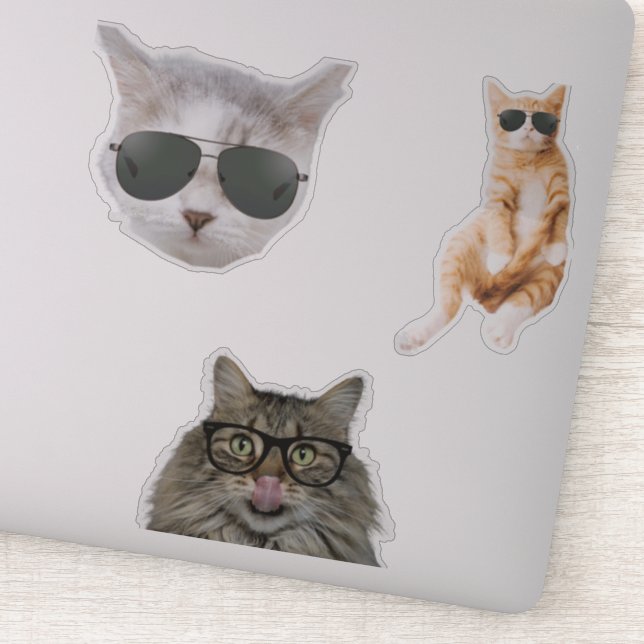 Funny Cat Memes (Detail)