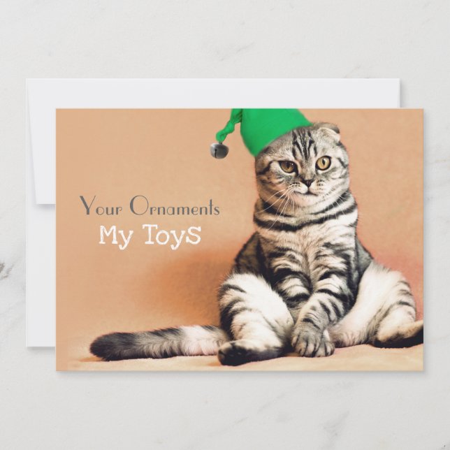 Funny Cat Merry Christmas Personalized Holiday Card (Front)
