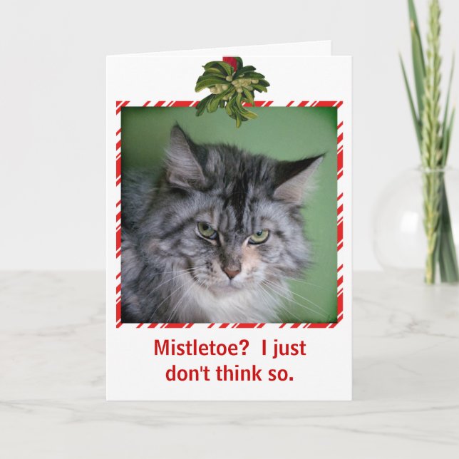 Funny Cat Mistletoe Christmas greeting card (Front)