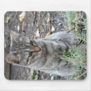 Funny Cat Mouse Pad