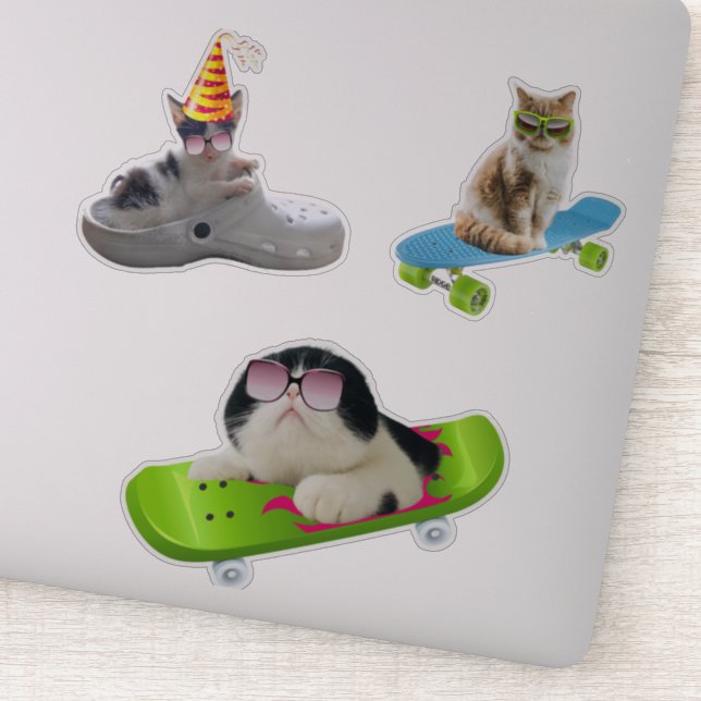 Funny Cat On Skateboard (Detail)