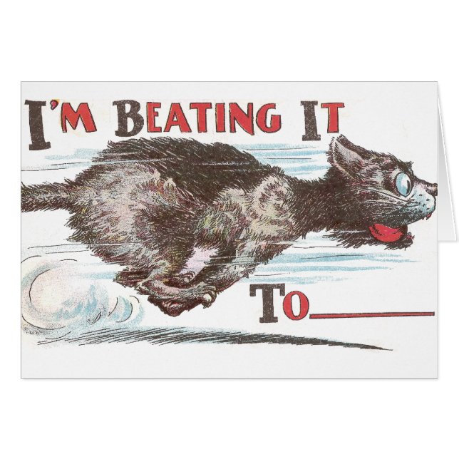 Funny Cat on the Run (Front Horizontal)