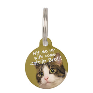 Funny Cat Photo Catnip Caption Pet Tag