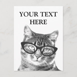 Funny cat photo postcards