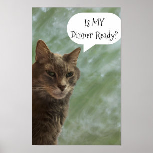 Funny Cat Photo Poster