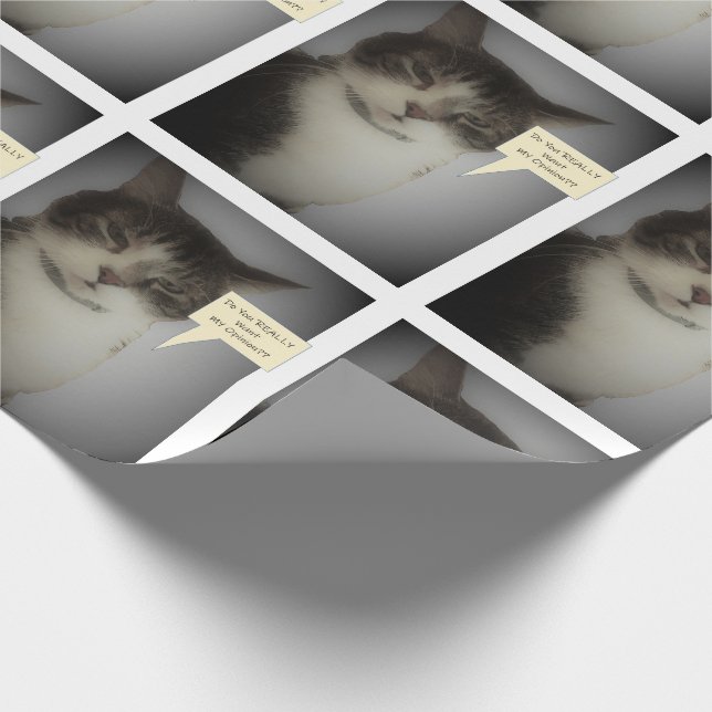 Funny Cat Photo Wrapping Paper (Corner)