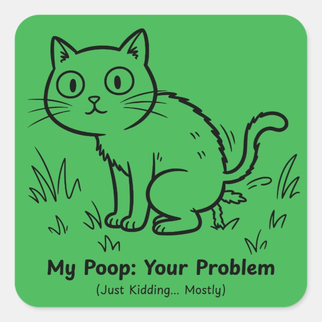 Funny Cat Poop Problem Sarcastic Square Sticker (Front)