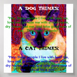 Funny Cat Poster