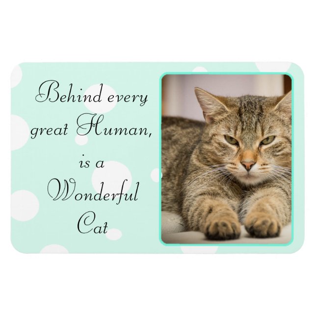 Funny Cat Quotes Teal  Personalized Magnet (Horizontal)