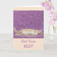 Funny Cat Resting Cancer Support
