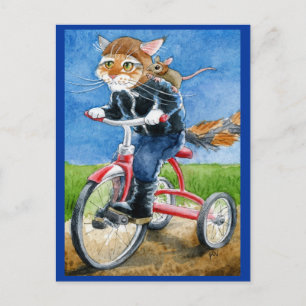 Funny Cat Riding Tricycle postcard