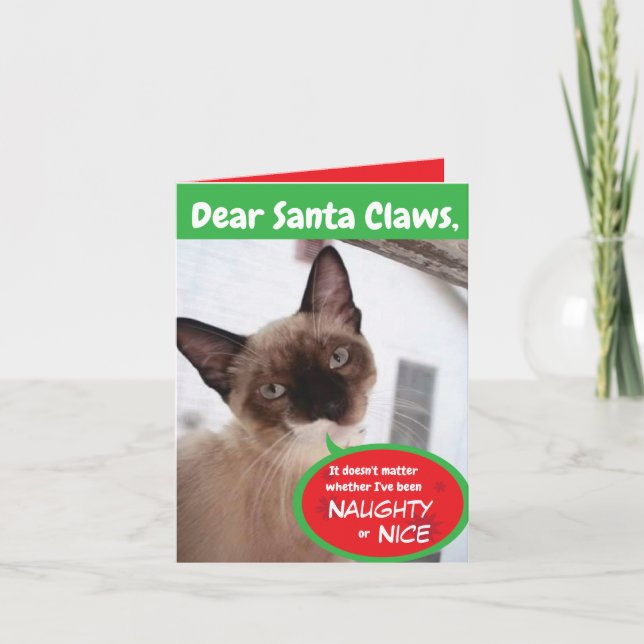 Funny Cat Santa Claws Holiday Folded Greeting Card (Front)