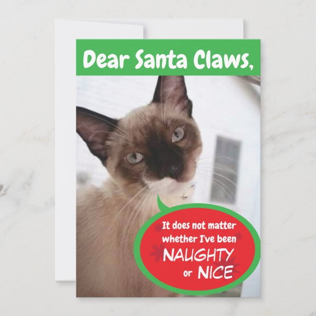 Funny Cat Santa Claws Holiday Greeting Card (Front)